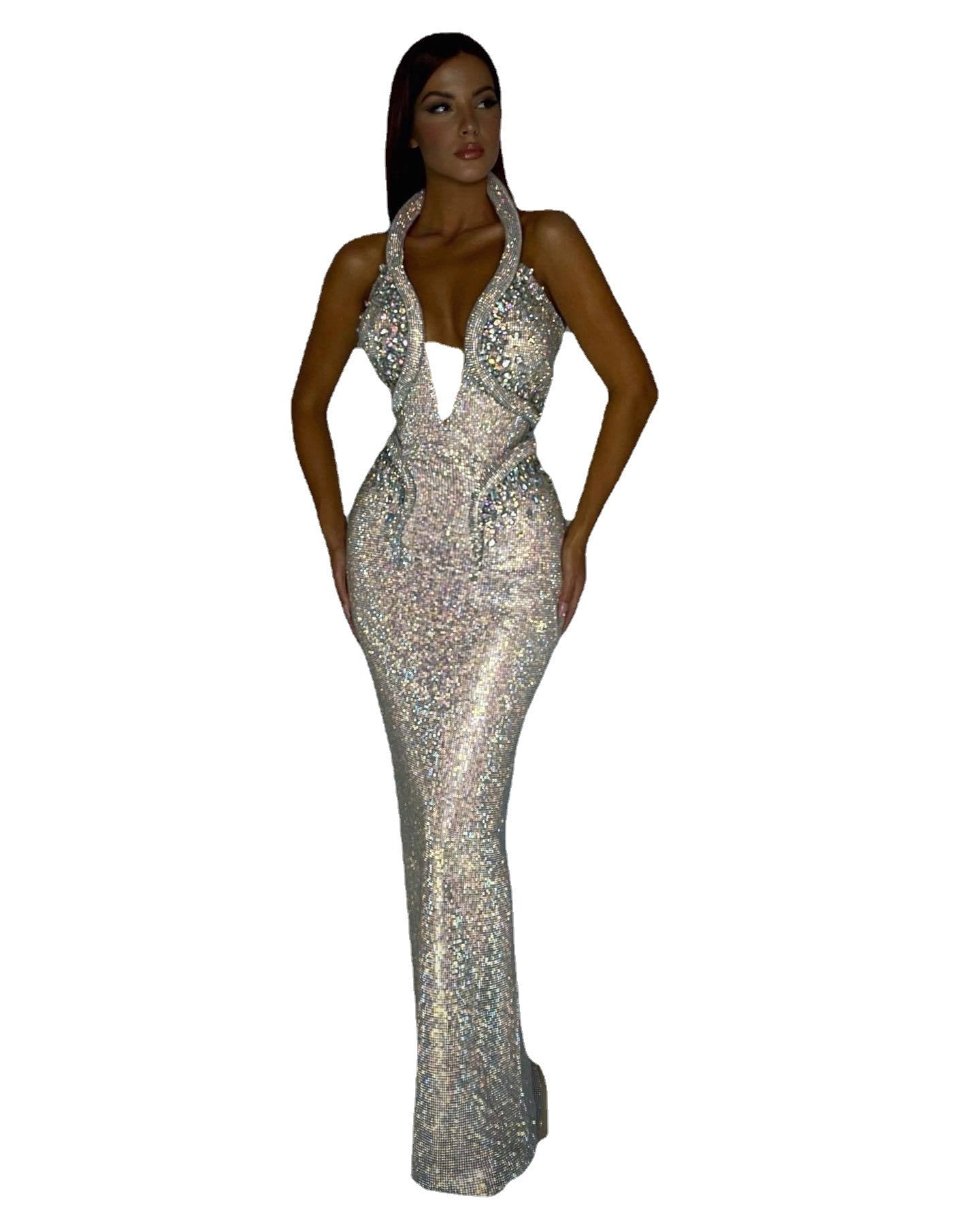 Monika Beauty Pageant Sexy Sequined Banquet Dress Sheath Trailing Evening Dress