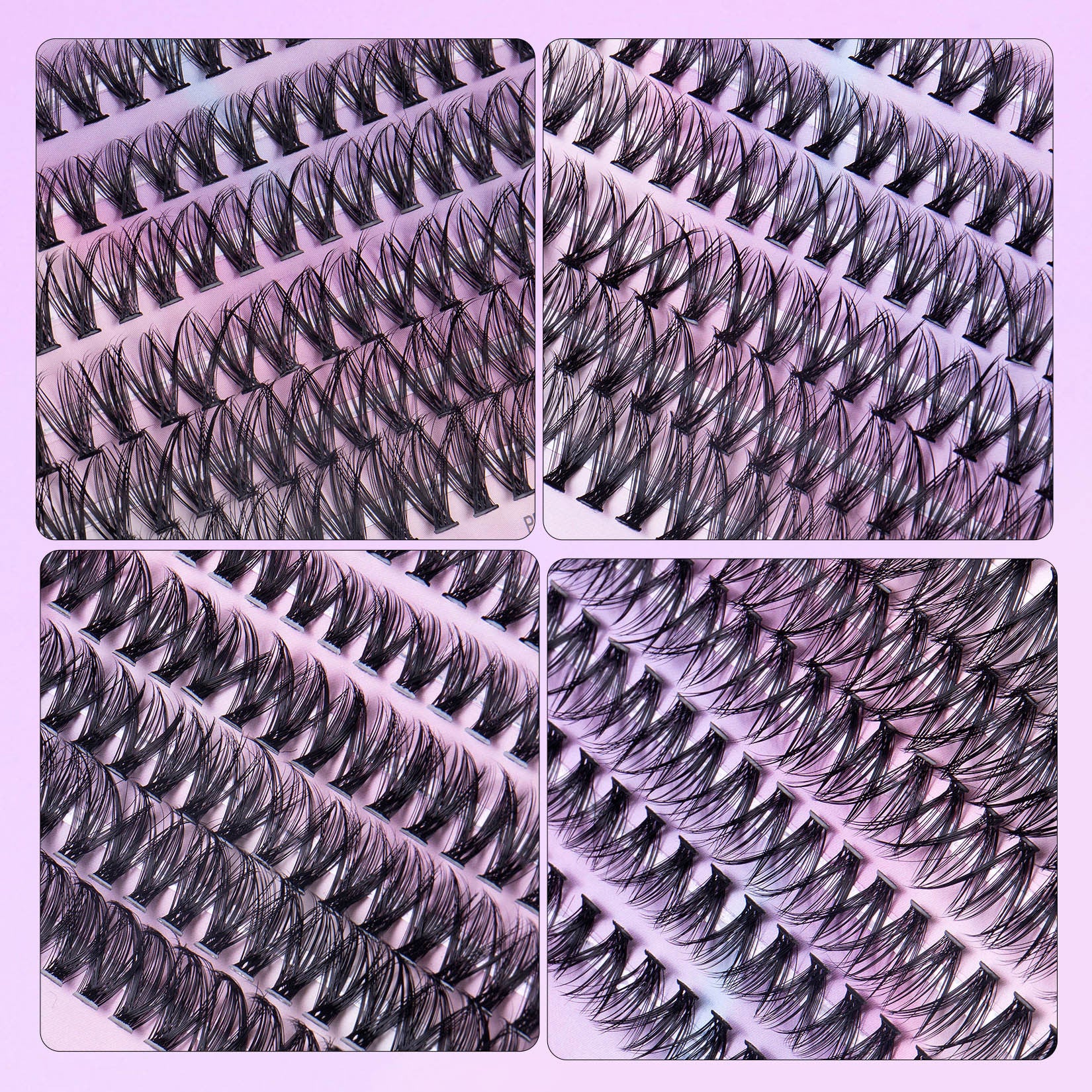 Monika Beauty Pageant 12 Rows Of 30D Plus 40D Clusters Of 240 Segmented Lashes Set