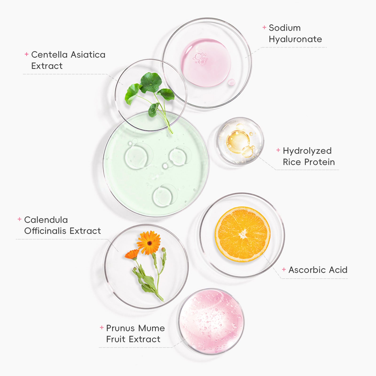 Monika Beauty Pageant Protective Makeup Primer Moisturizing Skin Care Products